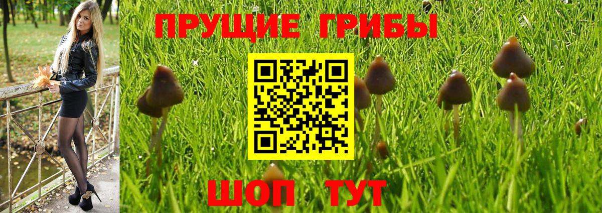 Псилоцибиновые грибы мухоморы  Вход с VPN  Шахты  Галлюциногенные грибы ЛСД 