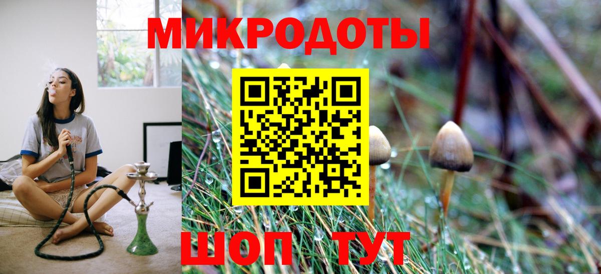 Галлюциногенные грибы Psilocybe Шахты