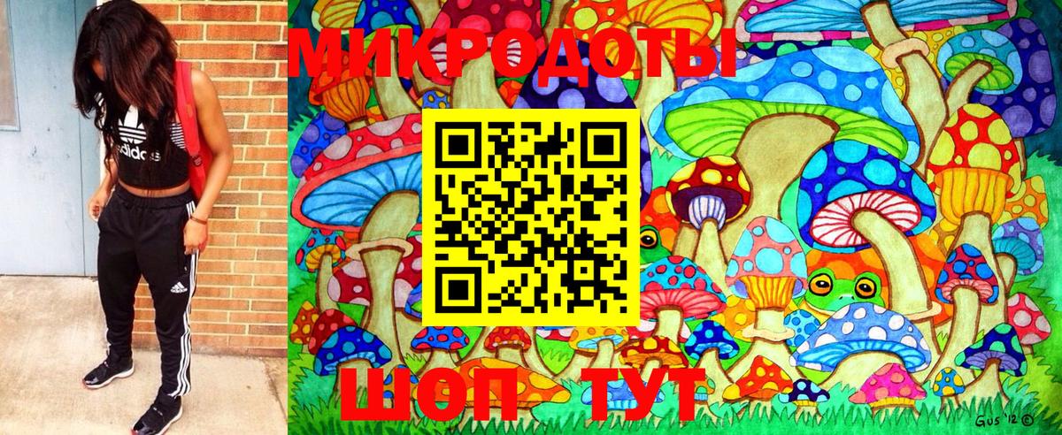 НБОМе Шахты